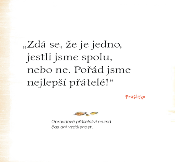 photo3
