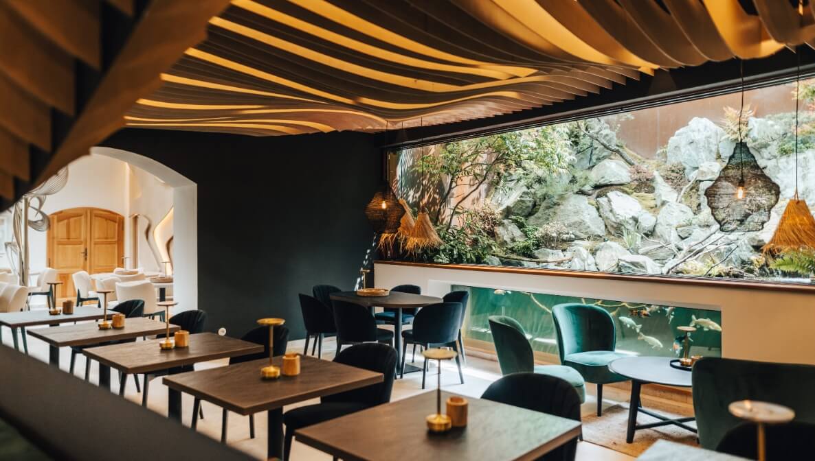 V Olomouci Banatovi vybudovali kavárnu s jezírkem, v němž plavou japonští koi kapři.